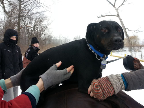 Questionable strategy to warm a cold dog -- wear her as a scarf.