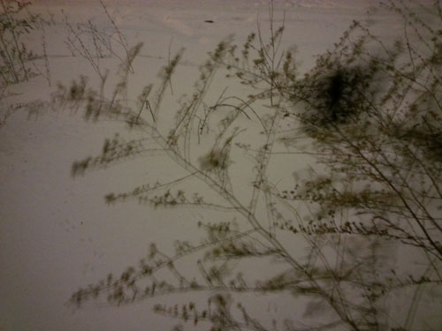 This is primarily a picture of wind.